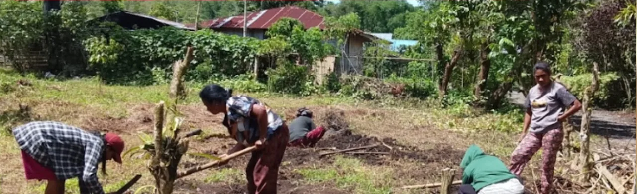 Membuka lahan kebun di Desa Wogo, Ngada.