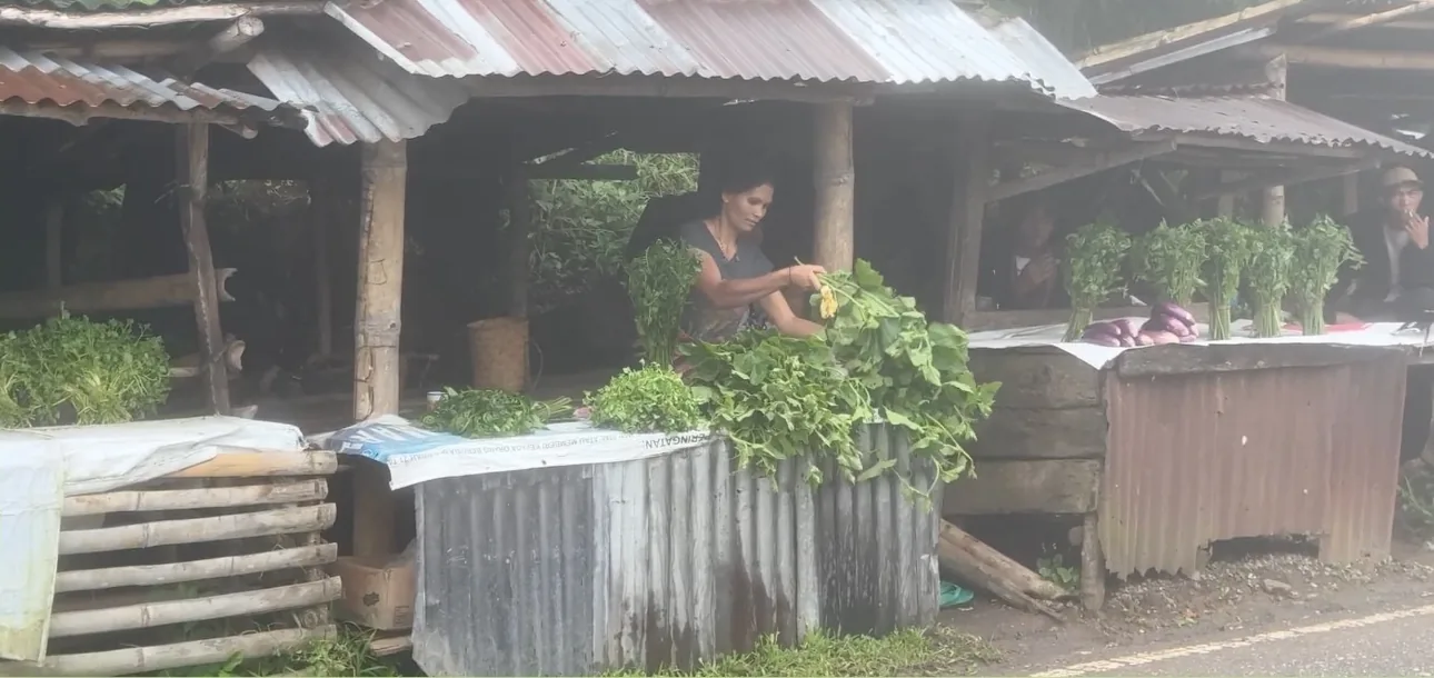 Lapak sayur di pinggir jalan.