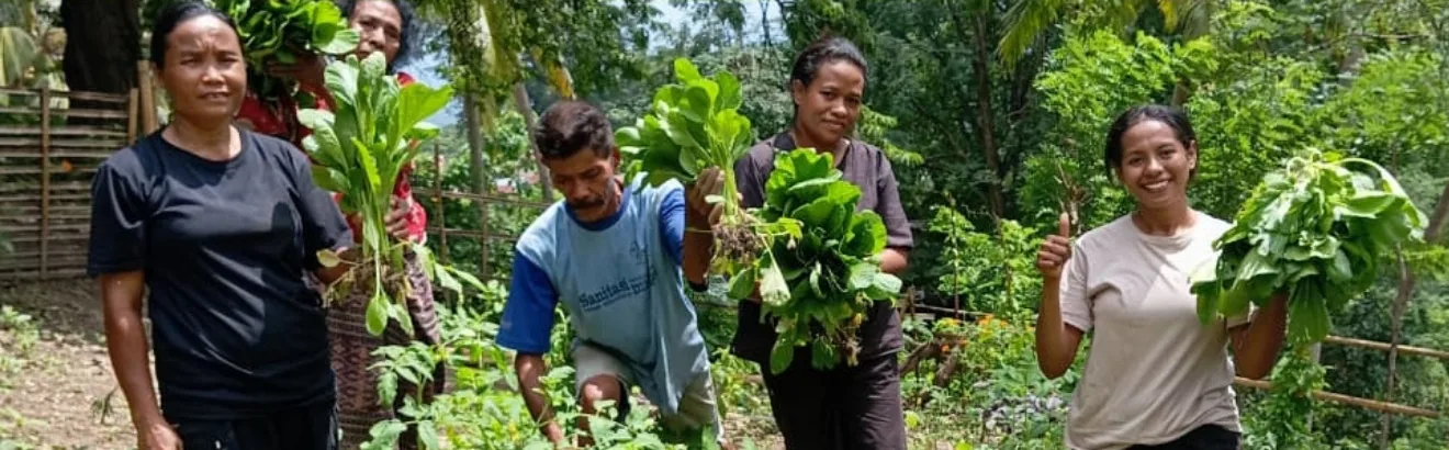 Panen di kebun Sikka.